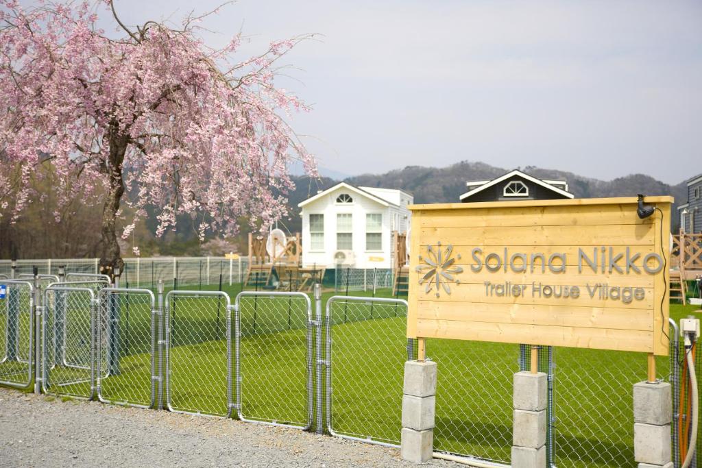 Solana 日光