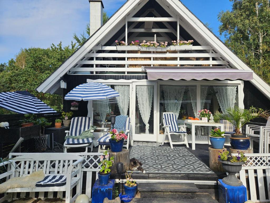 a house with chairs and a dog sitting on a patio at KATs FRISTED in Ebeltoft