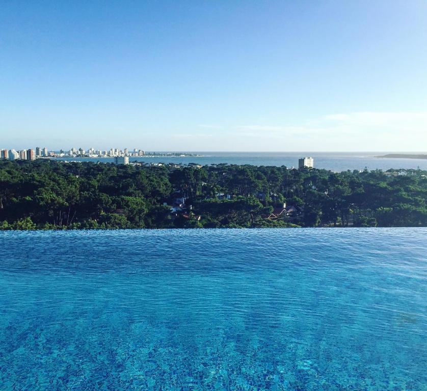 ein großer Wasserkörper mit einer Stadt im Hintergrund in der Unterkunft Apartamento Acapulco Roosevelt in Punta del Este