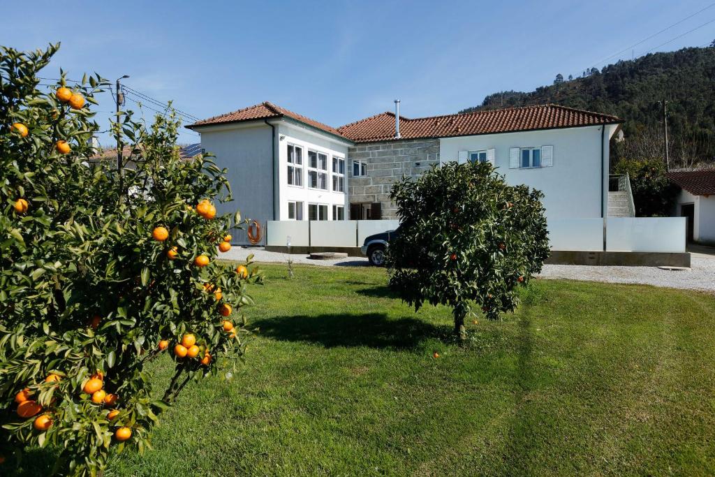 two orange trees in a yard next to a building at Casa das Agras in Souto