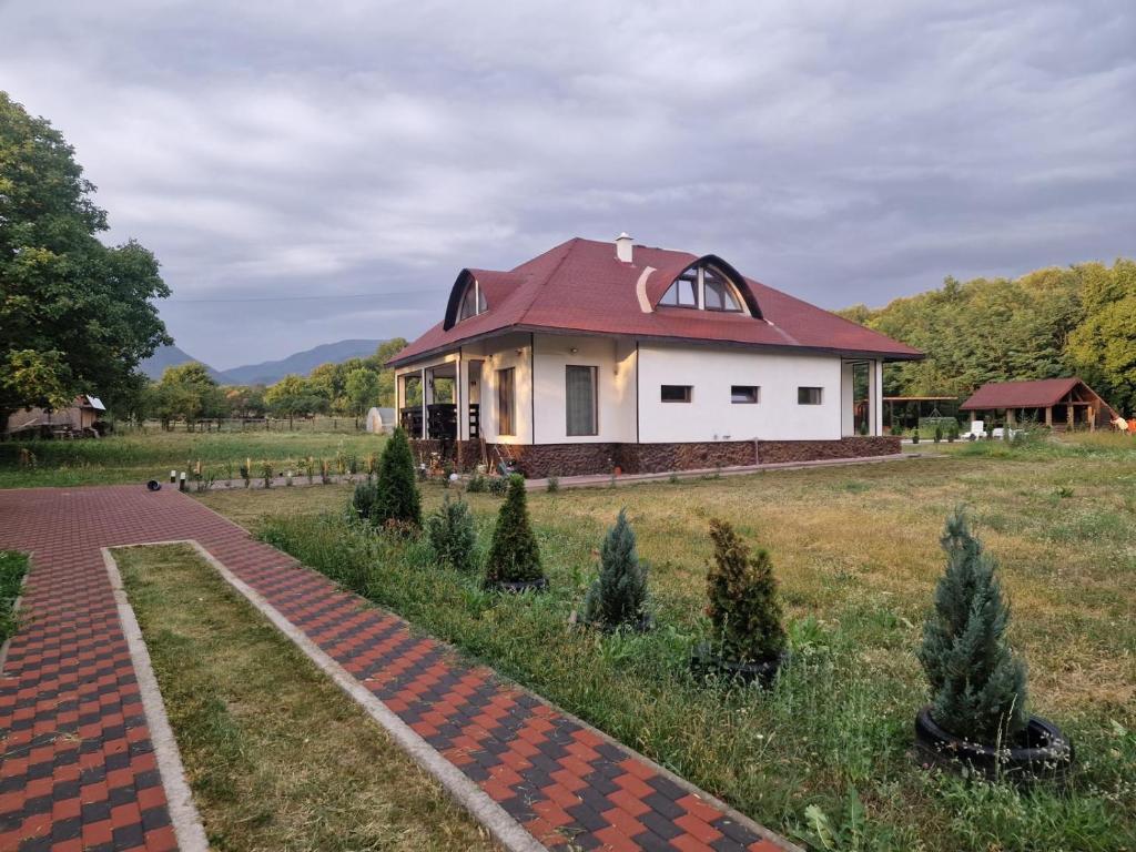a house with a red roof on a field at Alexia Agropension in Pui