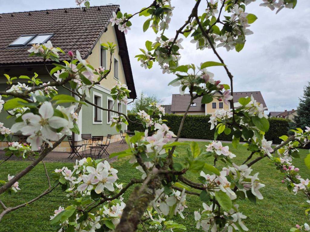 a house with a flowering tree in front of it at Penzion Helga in Žďár