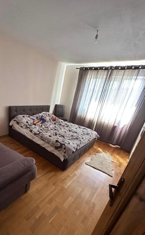 a bedroom with a bed and a window at Casa Tineretului in Dej
