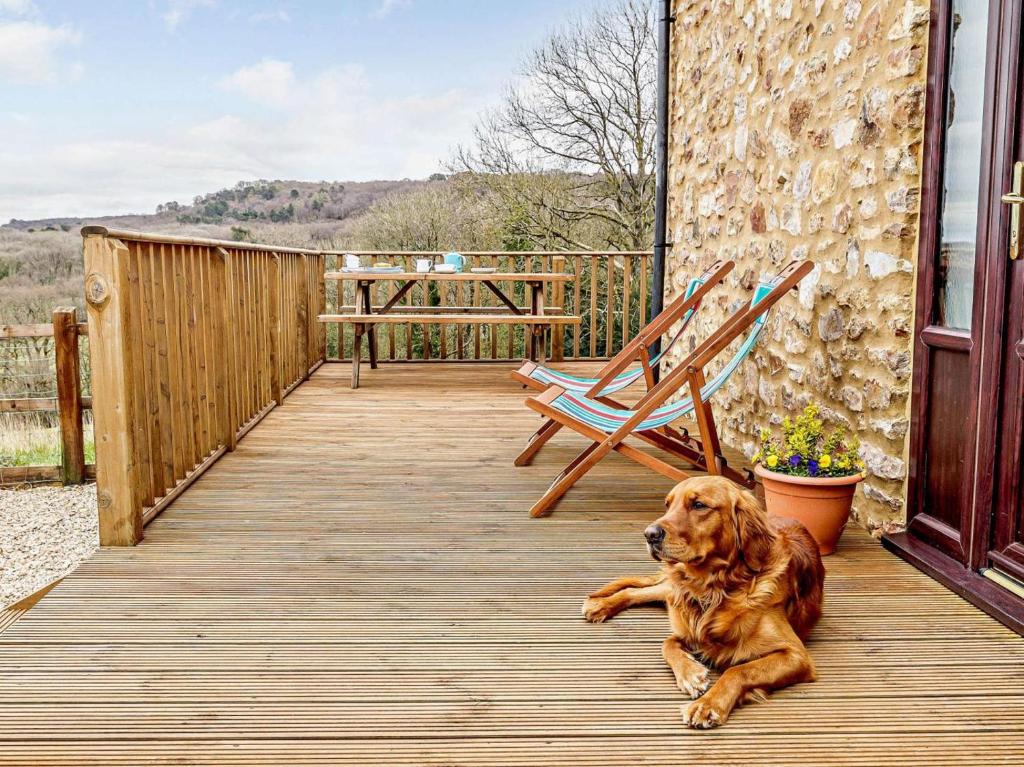 a dog laying on a wooden porch with a chair at 2 Bed in Wellington oc-56950 in West Buckland