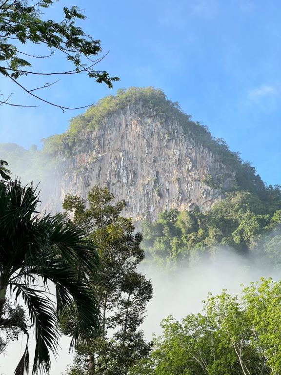 a mountain in the middle of a fog covered forest at Ban Suan Chana Homestay in Ban Pha Saeng Lang
