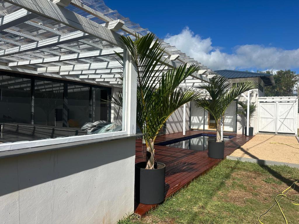 two palm trees in pots next to a building at Fairview Holiday Villa in Rivière Noire