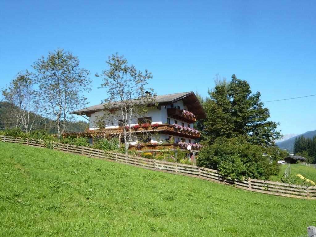 a house on a hill in a field at Eisenhof apartments in Altenmarkt im Pongau
