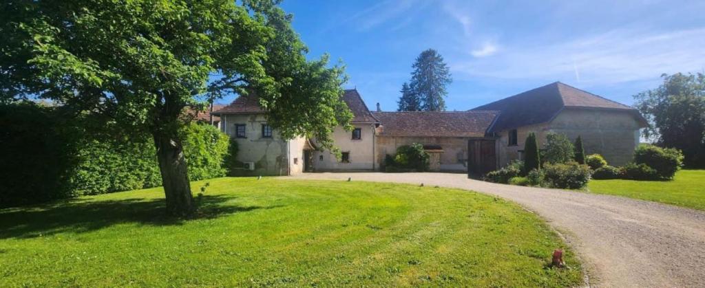 a house with a tree and a dirt road at La Tramolière in Le Passage