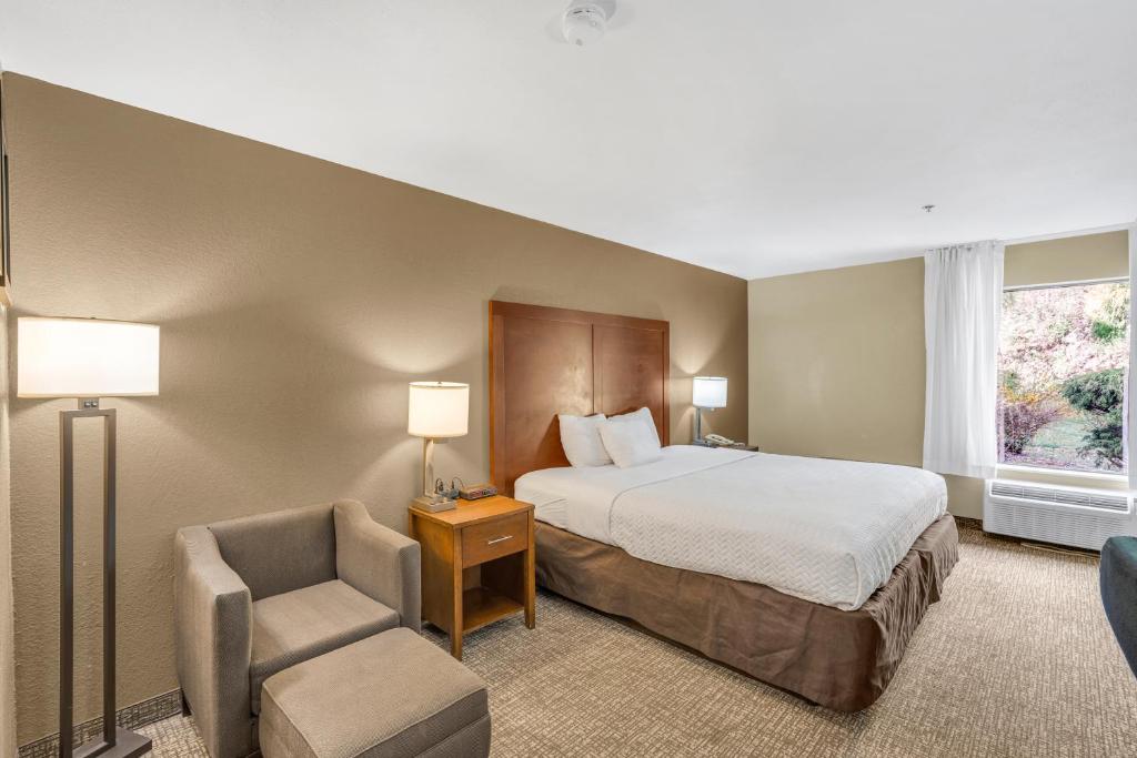 Bristol Arcadia Inn photo