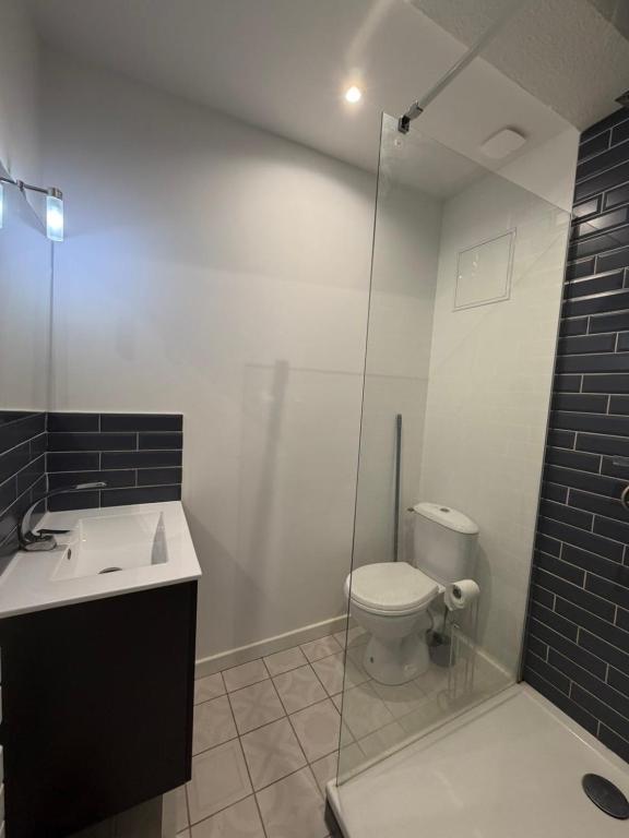 a bathroom with a toilet and a glass shower at Bastille in Tournon-sur-Rhône