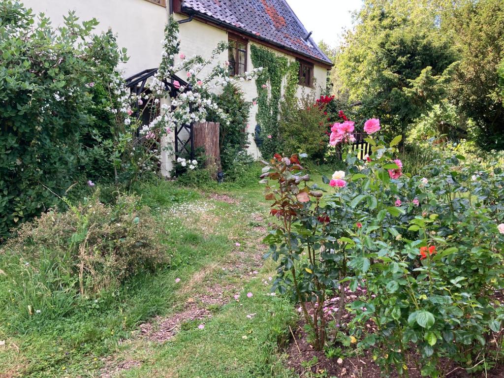 Valley Farmhouse, Westhall 7