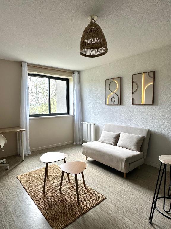 Le Cocon Griffon - parking, fibre, proche Toulouse