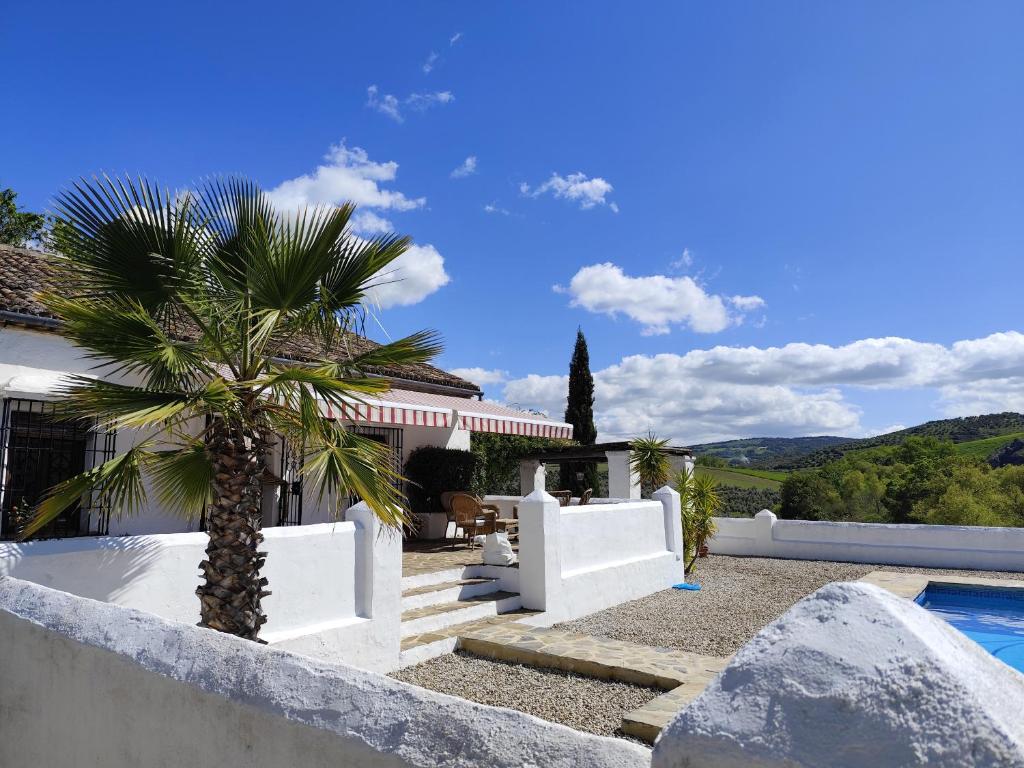 a house with a palm tree and a swimming pool at Beautiful Cortijo with pool near Ronda in Ronda
