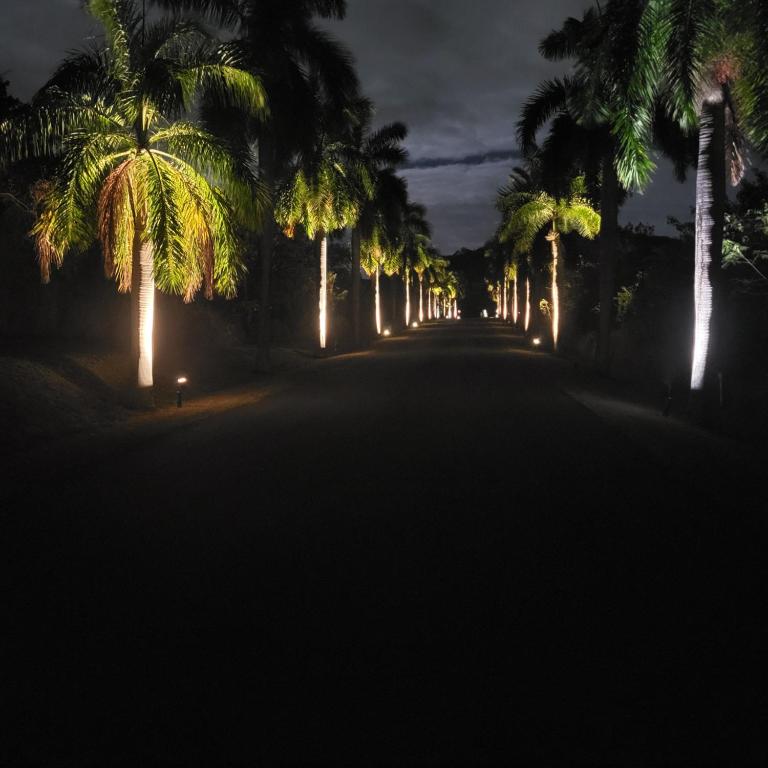 a street with palm trees at night with lights at The Flip Flop Villa in Christiansted