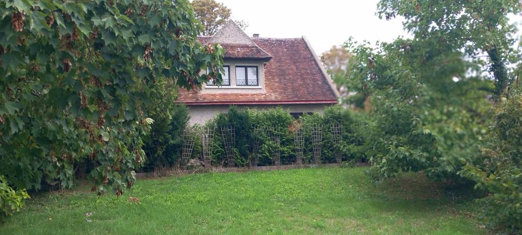 a house with a window and a yard with green grass at Les Billardières - Suite familiale de 2 chambres entre Blois et Chambord, proche Loire à Vélo in Cour-sur-Loire
