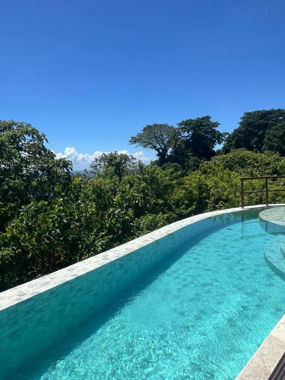 a blue swimming pool with trees in the background at Amerigo Exclusive in Morro de São Paulo