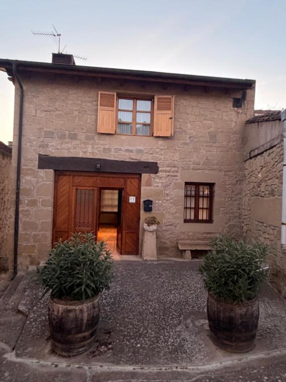 a stone house with two potted plants in front of it at Casa de La Consentida in Elciego