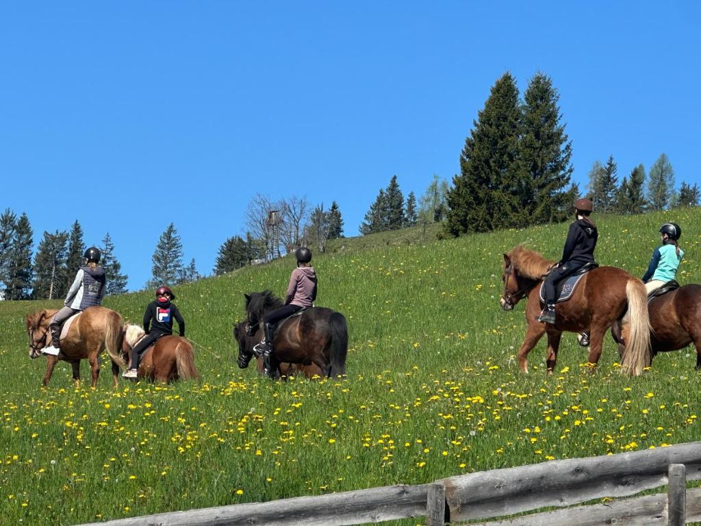 a group of people riding horses in a field at Oberegghof in Wagrain