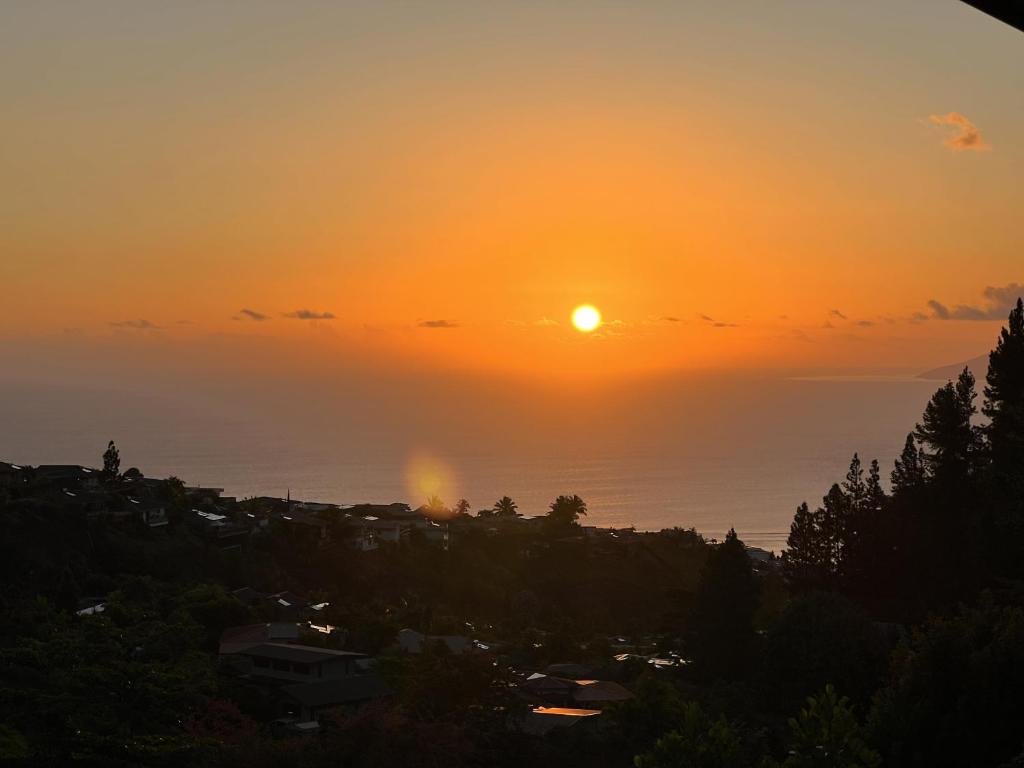 TITOU LODGE - Hauteurs de Miri - photo 7 - Tahiti, Polynésie