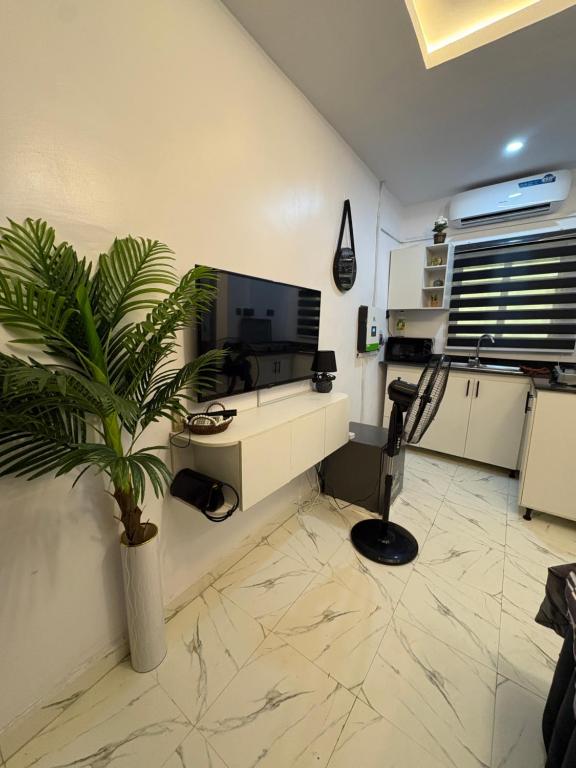 a living room with a tv and a potted plant at Studio apartment-Akilo in Lagos