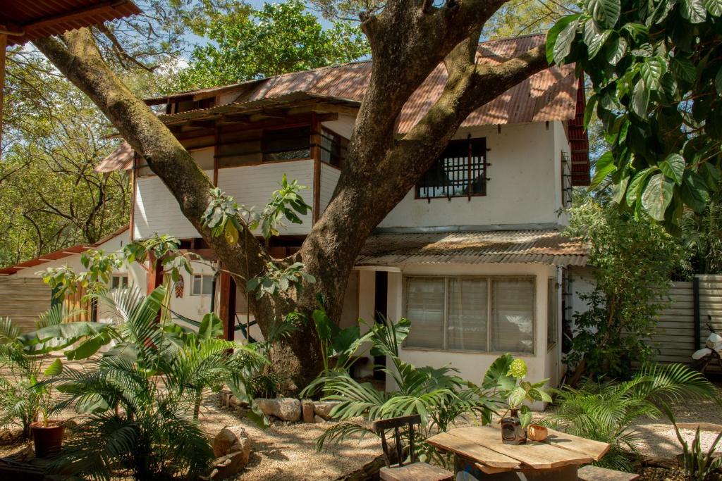 a house with a tree in front of it at Noni garden apartment in Tamarindo