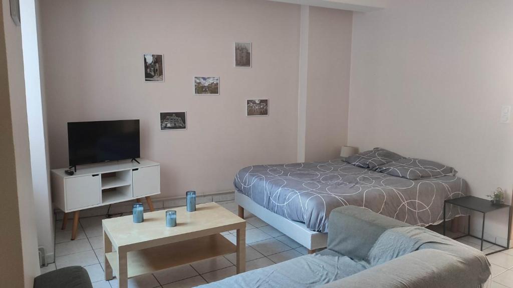 a living room with a bed and a tv and a couch at Studio cosy coeur centre ville in Aubusson