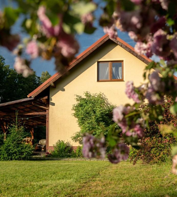 a house with a window in a yard with pink flowers at Majcia in Jelenia Góra