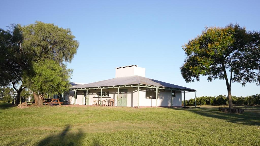 a white building in a field with a tree at Casa Cosmos in Colonia Ayui