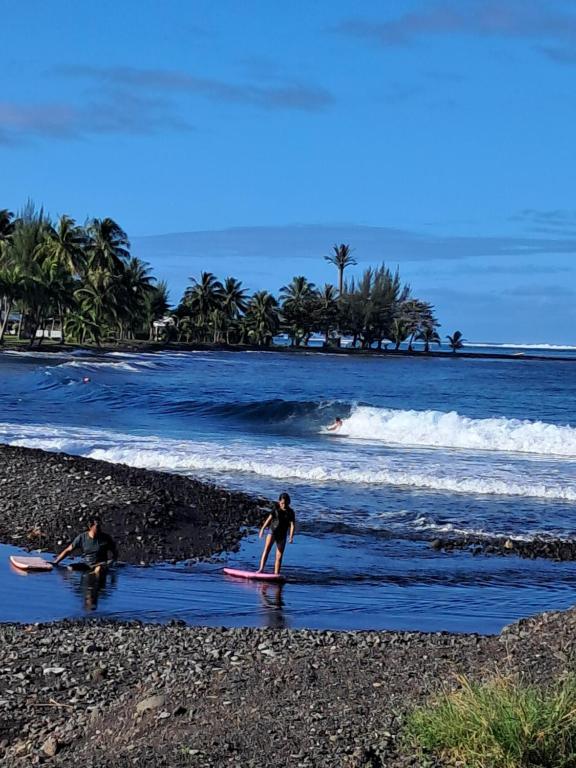 Fare Te Ava Iti - photo 10 - Tahiti, Polynésie