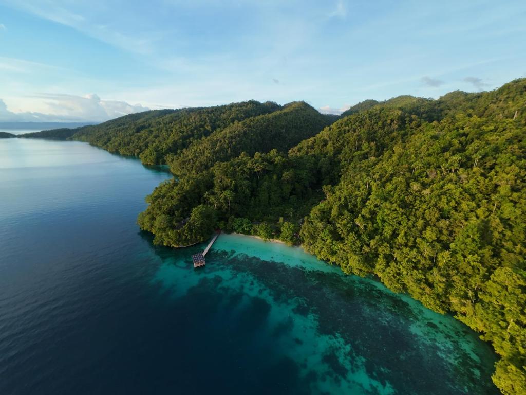an island in the middle of a body of water at Raja Ampat Eco Lodge in Tapokreng