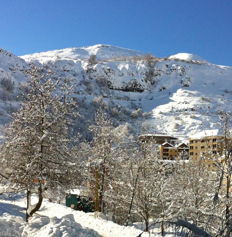 Faraya Residencia