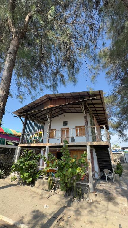 a house on the beach with a tree at Mi bohío in Monteverde