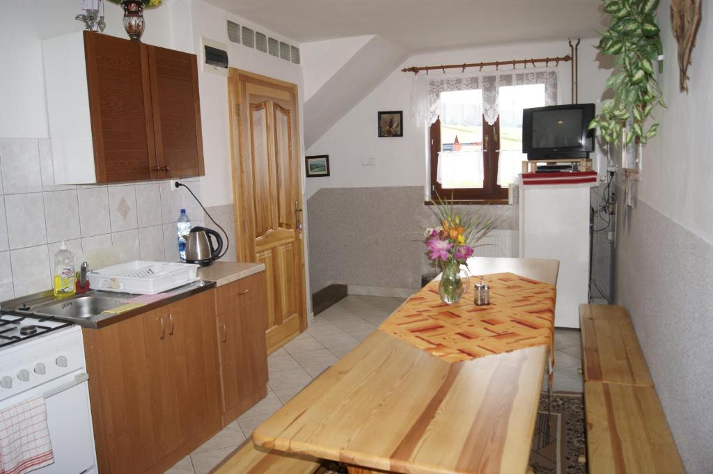 Kuchyň nebo kuchyňský kout v ubytování Privat u Babky