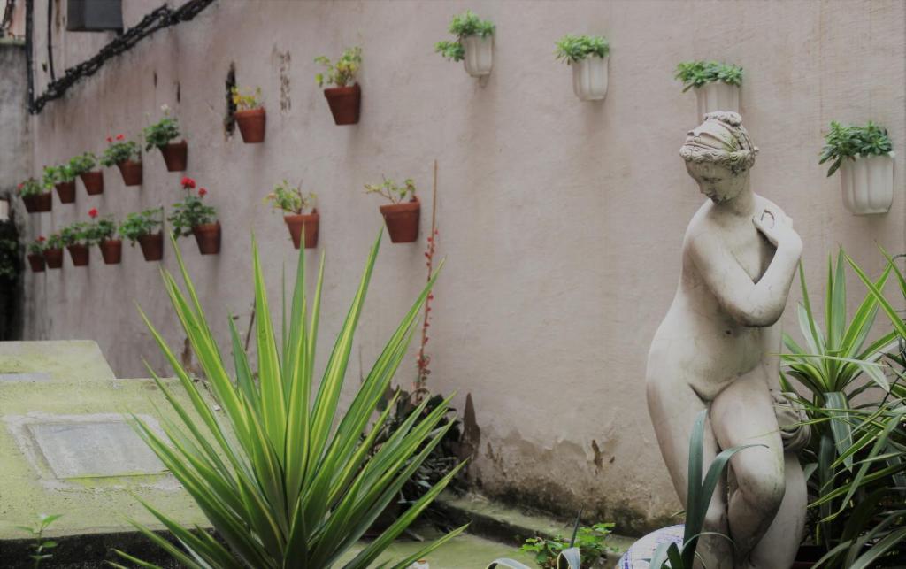 BYPILLOW Irala - Resim 17