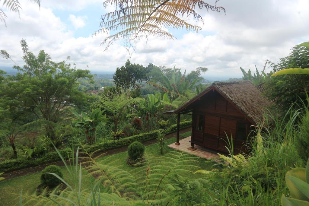 a small house in the middle of a forest at Pondok Kayu Pathavi in Baturiti