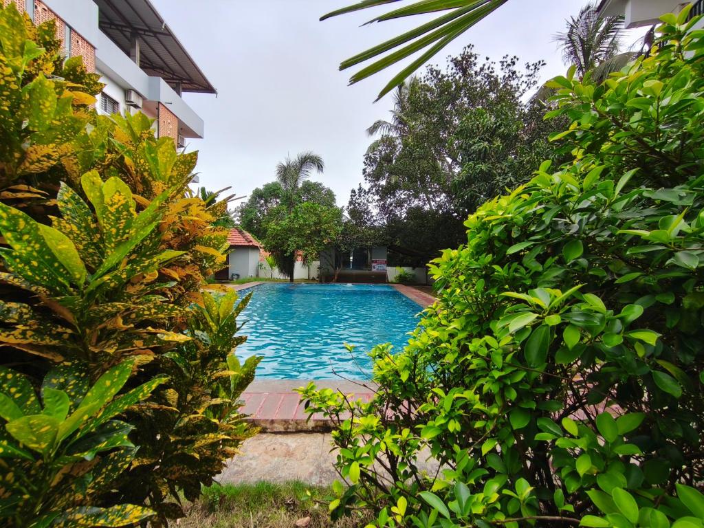 a swimming pool in a garden with trees at Jackfruit in Arambol