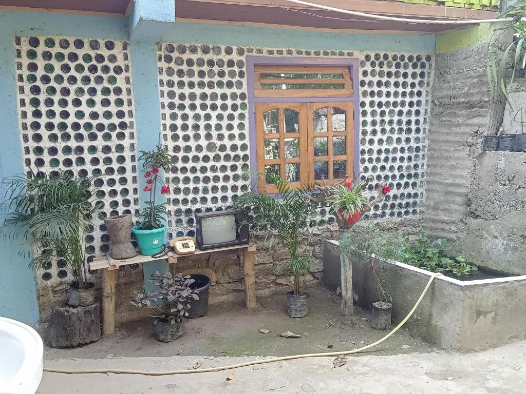 a house with a desk with a television and plants at DSD Bomzon Homestay in Darjeeling