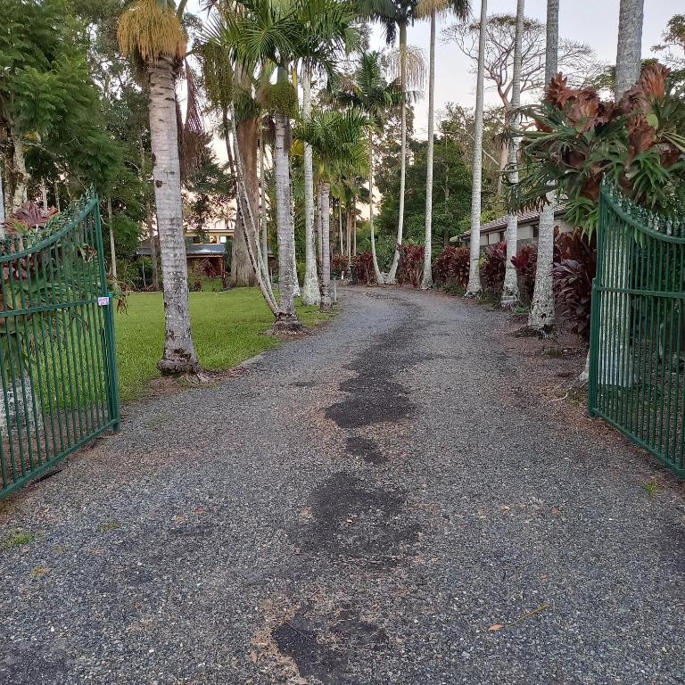 an empty driveway with palm trees and a fence at Emerald Tropical Palms B & B in Emerald Beach