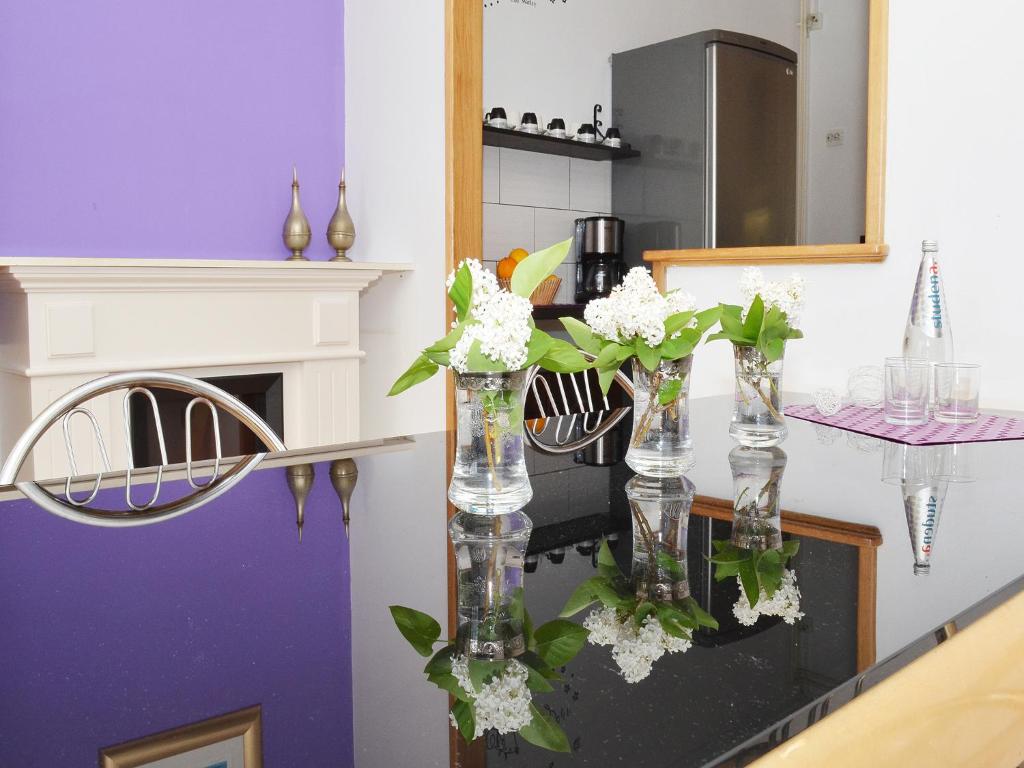 Kuchyňa alebo kuchynka v ubytovaní Apartment T&M