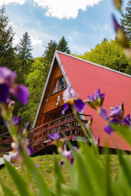 a house with a red roof and purple flowers at Perełka Bieszczady Domki in Cisna