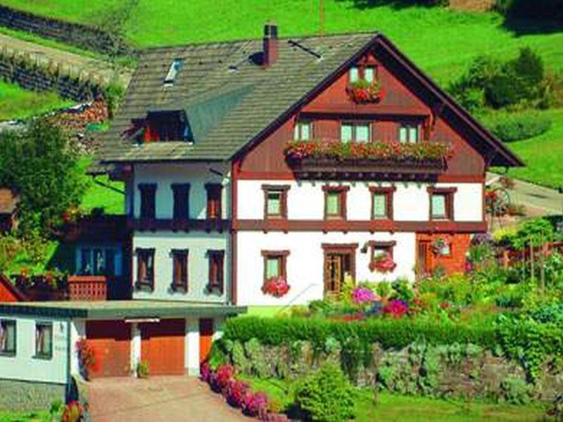 een groot huis met bloembakken aan de voorkant bij Gästehaus Heimenberg in Bad Rippoldsau-Schapbach