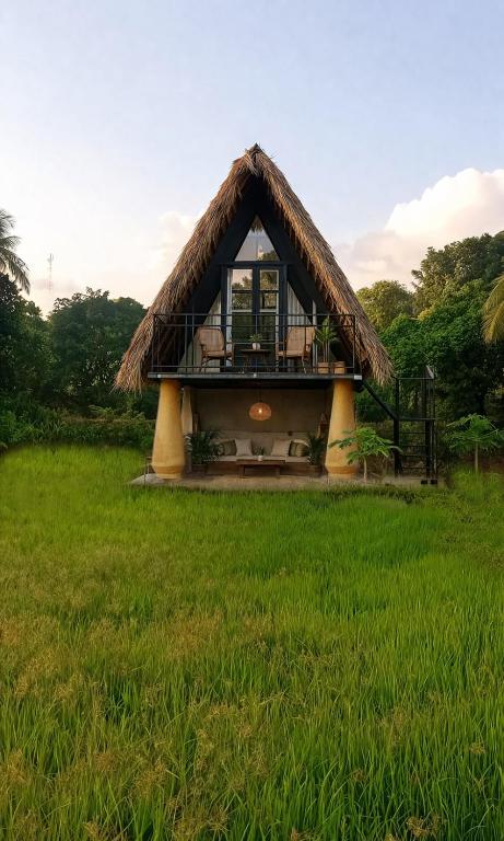a house with a thatched roof in a field at Mango Liyadda Villa in Dambulla