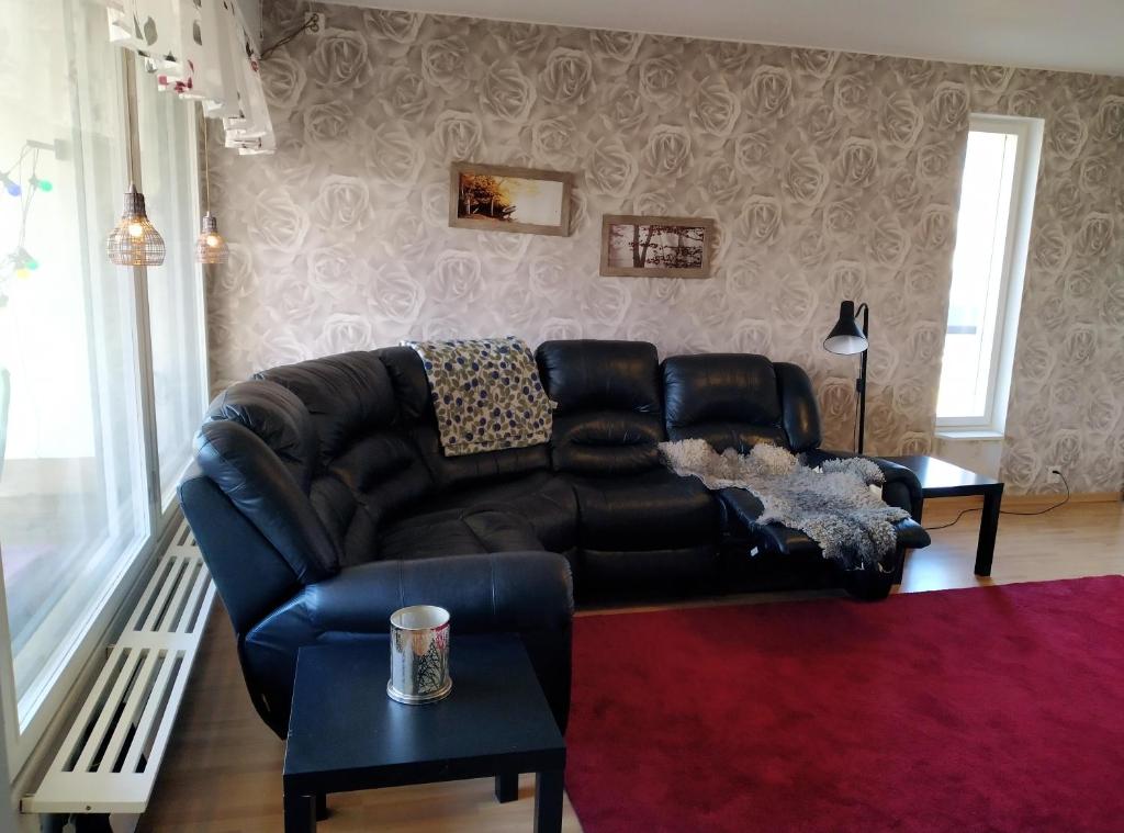 a living room with a black leather couch and a red rug at Lägenhet Sandåsvägen in Mariehamn