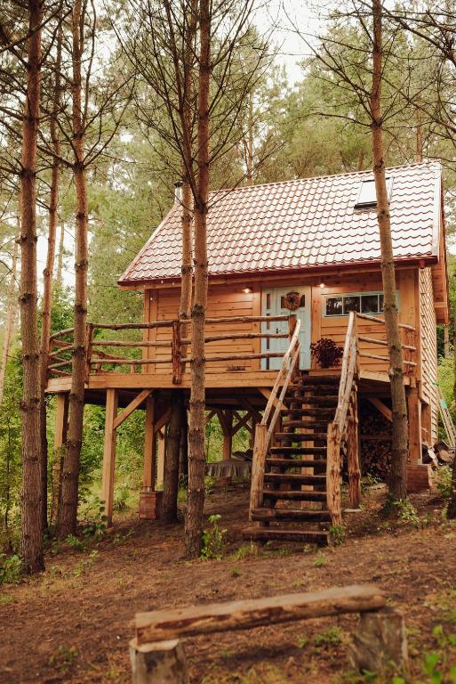 a cabin in the woods with stairs leading up to it at Iglasta chata in Warszkowo