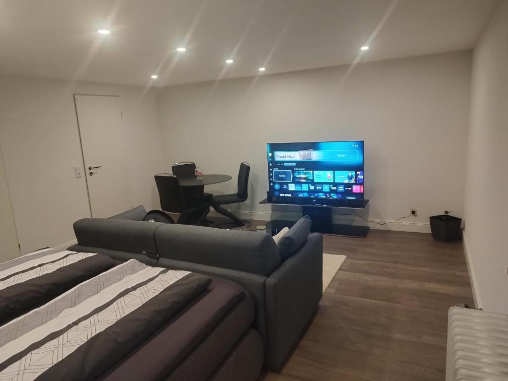 a living room with a couch and a flat screen tv at Dreiländereck erkunden in Lörrach
