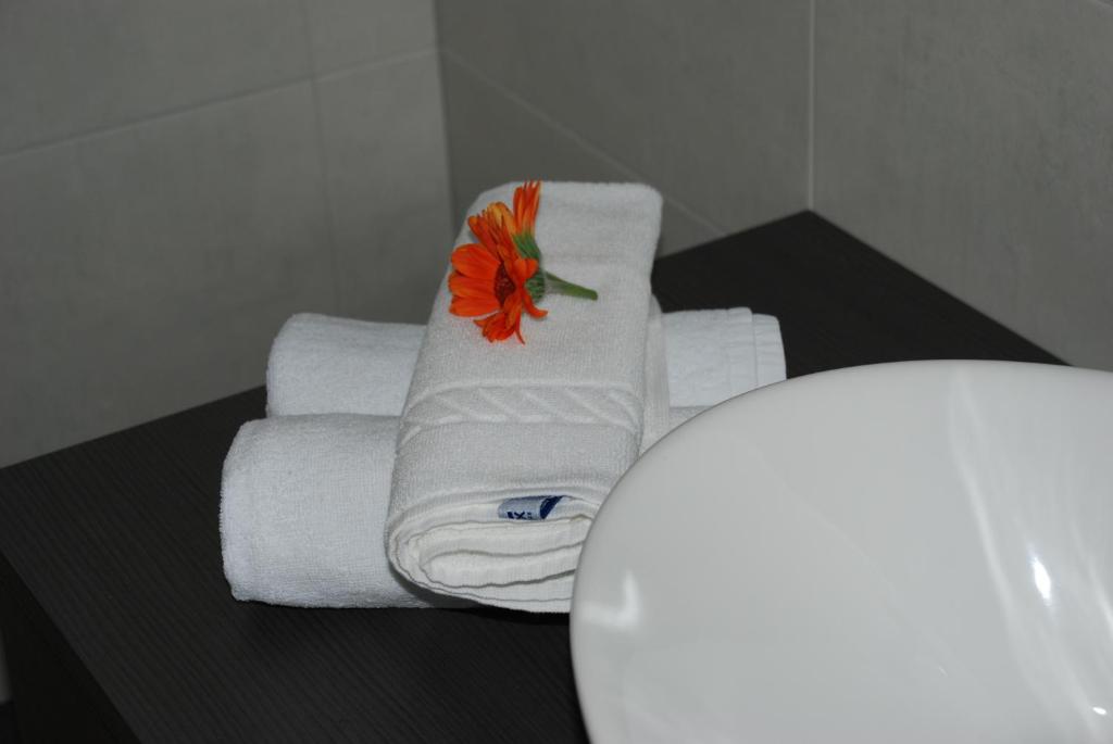 Fotografie z fotogalerie ubytování Aparthotel Pichler v destinaci Colle Isarco