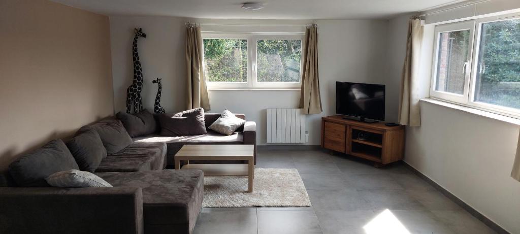 a living room with a couch and a tv at Coolappart in Mont-Saint-Guibert
