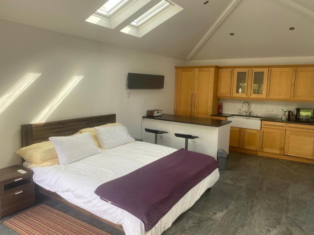 Studio apartment East Dulwich - 一卧室公寓