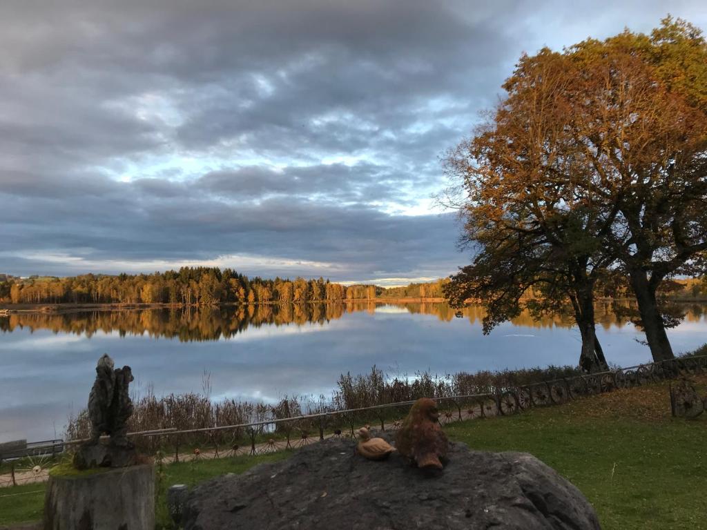a teddy bear sitting on a rock in front of a lake at Ferienwohnung Seeufer in Bad Bayersoien