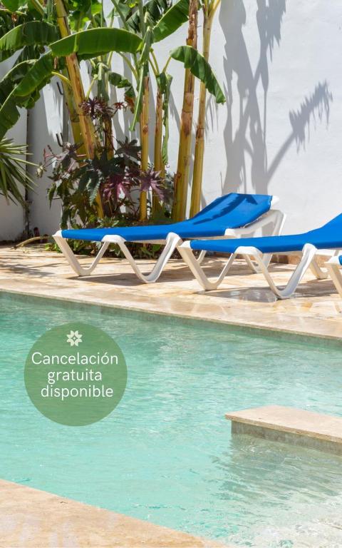 a pair of blue lounge chairs next to a swimming pool at La Floristería Zahora in Zahora